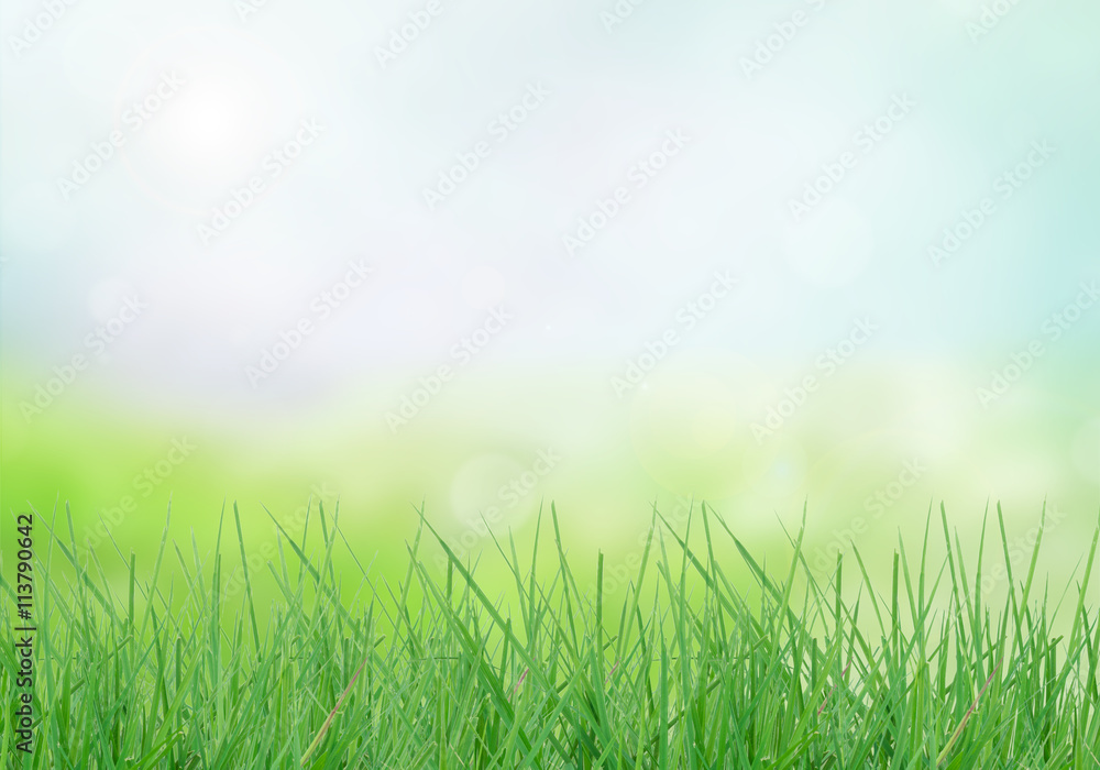 grass