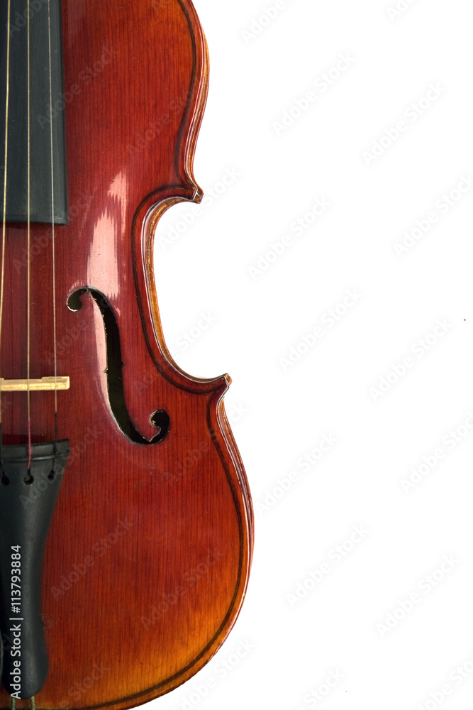 Violin isolated on white background Violin isolated on white background
