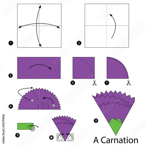 step by step instructions how to make origami A Carnation.