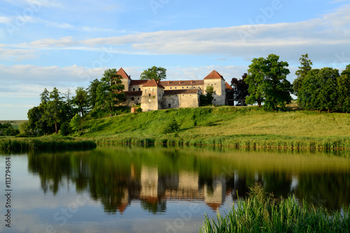 ancient castle Svirzh