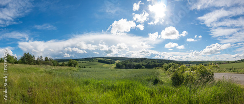 Fototapeta Naklejka Na Ścianę i Meble -  Landschaft im Sommer