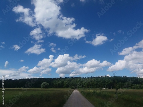 Feldweg, Wald und Wolkenhimmel