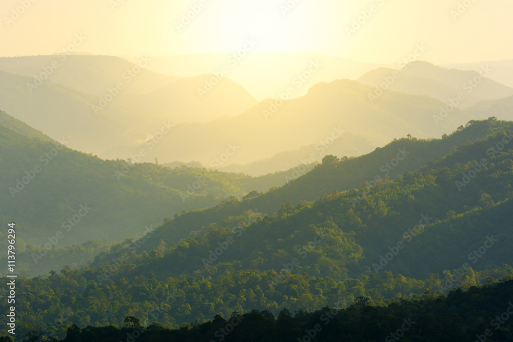 Obraz premium Tropical forest with sunshine.