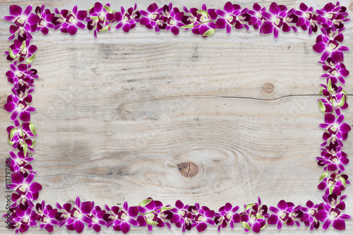 Beautiful orchid flower frame on wood texture background.