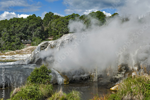 Whakarewarewa Geyser at Te Puia thermal park in geothermal valley of Rotorua  New Zealand