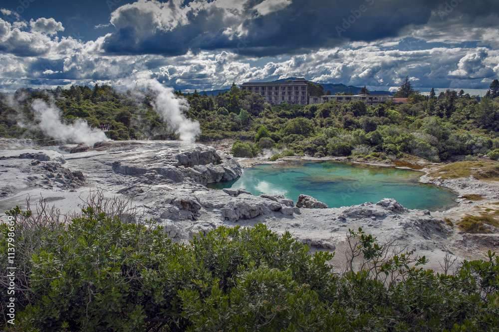 Fototapeta premium Whakarewarewa Geyser at Te Puia thermal park in geothermal valley of Rotorua, New Zealand