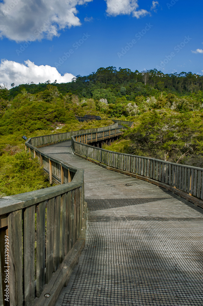 Walkway to Whakarewarewa Geyser at Te Puia thermal park in geothermal valley of Rotorua, New Zealand