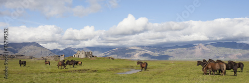 Icelandic Horses © jefwod