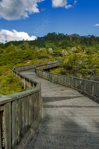 Walkway to Whakarewarewa Geyser at Te Puia thermal park in geothermal valley of Rotorua, New Zealand