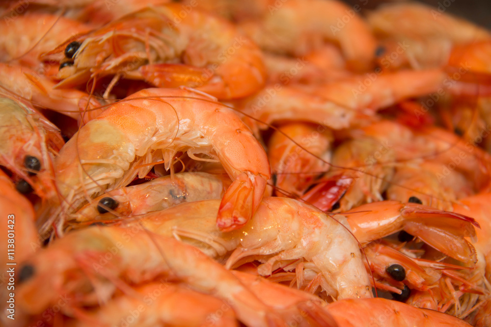 Background of the delicious boiled shrimp Background of the delicious boiled shrimp