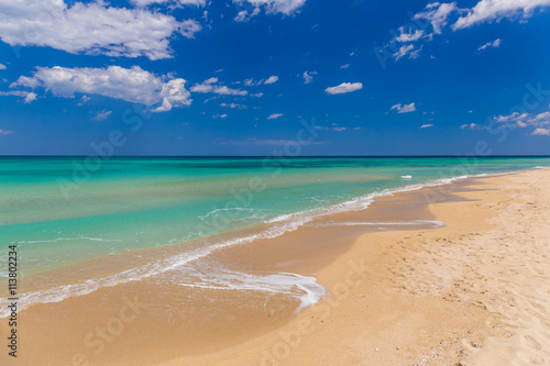 Amazing golden sand beach near Monopolli Capitolo, clear sky summer day, Apulia region, Southern Italy photo