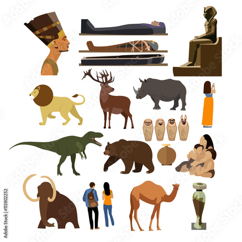 Vector set of Archaeological museum displays isolated on white background. History exhibition.