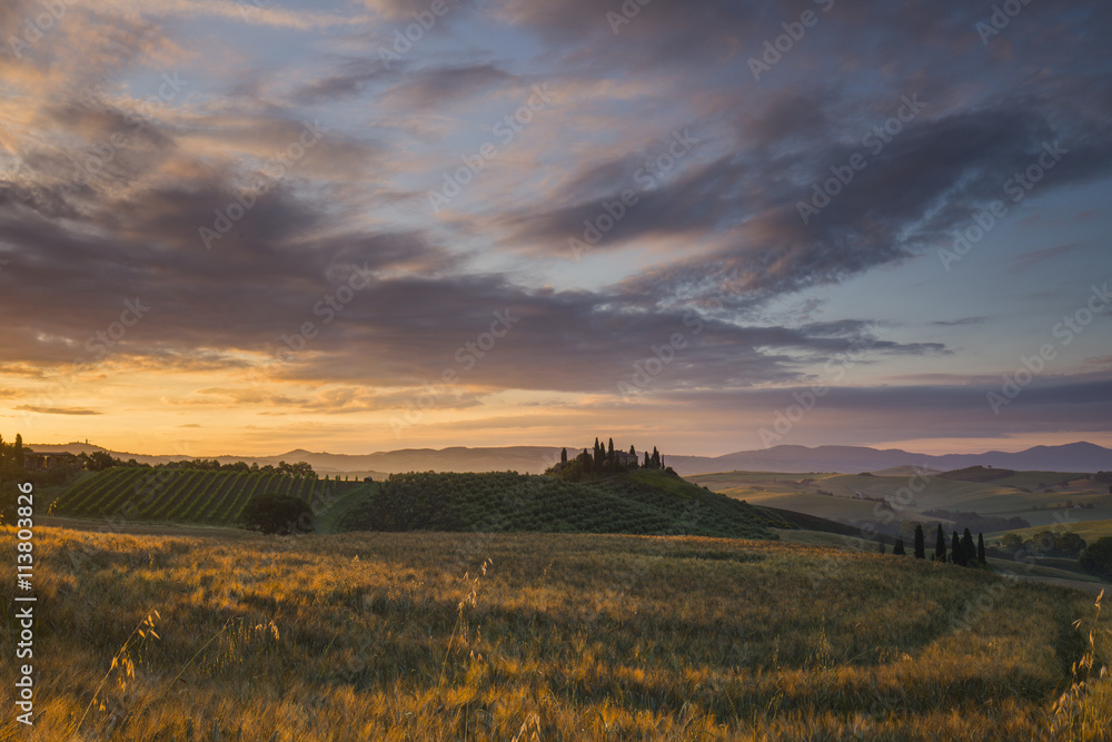 Fototapeta premium Belvedere farmhouse in San Quirico d'Orcia during sunrise