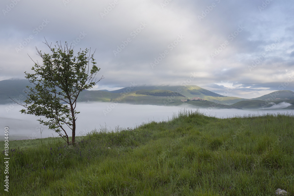 Obraz premium Fields near Castelluccio in Italy