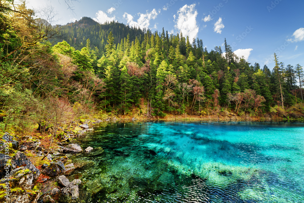 The Five Coloured Pool with azure water among wooded mountains The Five Coloured Pool with azure water among wooded mountains