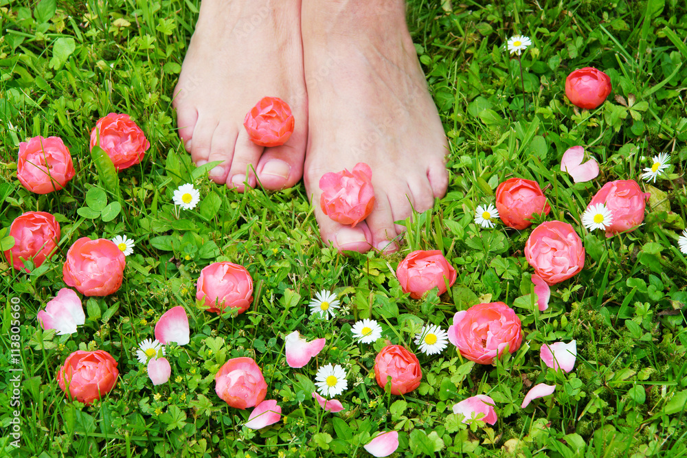 Healthy Feets Gesunde Fusse Barfuss Wiese Rosen Roschen Copyspace Stock Photo Adobe Stock