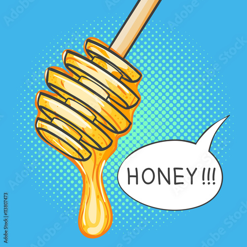 Vector hand drawn pop art illustration of honey dipper.