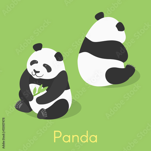 Vector isometric illustration of panda