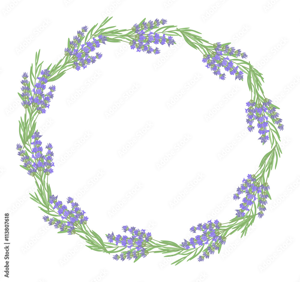 The background for the text label of the packaging the card with lavender flowers.