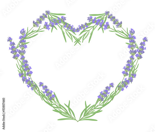 The background for the text label of the packaging the card with lavender flowers.