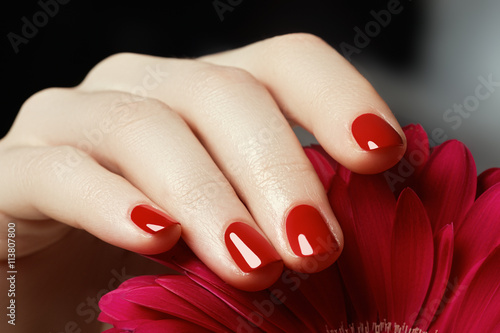 Beauty delicate hands with manicure holding pink flower