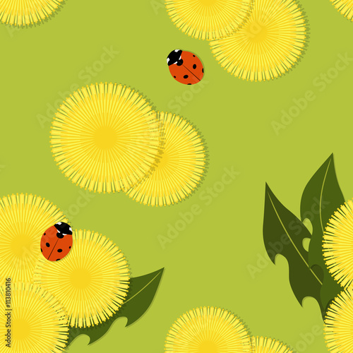 Seamless pattern of yellow dandelions. Vector illustration.