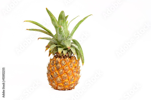 Obraz na płótnie Pineapple on white background.