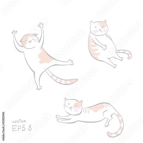 Set Three cats sitting, lying, flying