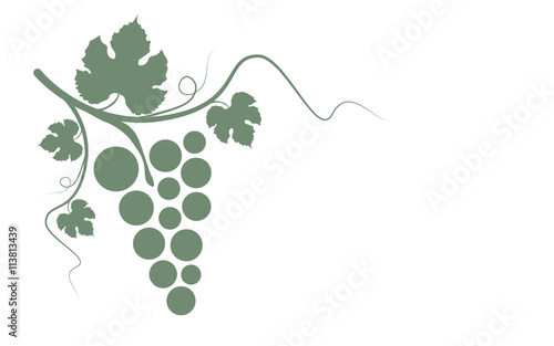 bunch of white grapes with leaves