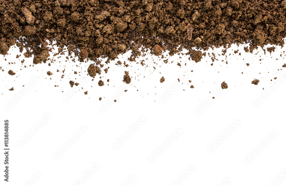 Dirty earth on white background. Natural soil texture Dirty earth on white background. Natural soil texture