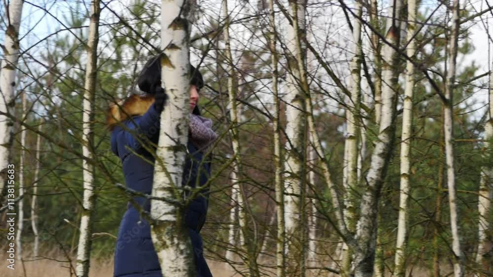 pretty warmly clothed woman walking in birch forest in cold winter time pretty warmly clothed woman walking in birch forest in cold winter time