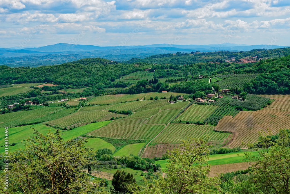 Tuscany at springtime