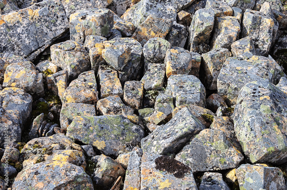 Gray stones in tundra