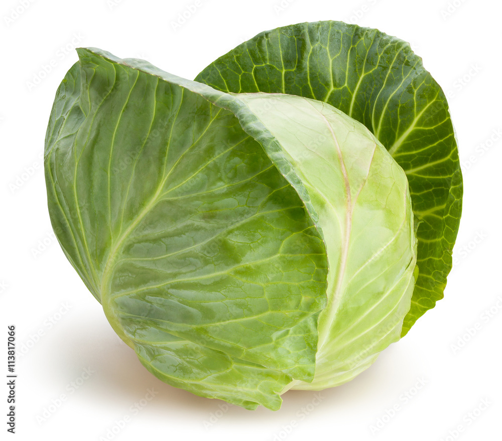 Fototapeta premium cabbage