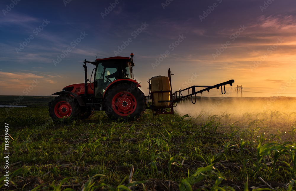 Fototapeta premium Red tractor.