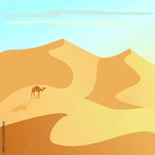A camel and desert