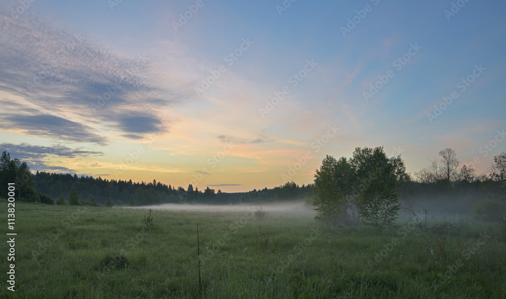 Fototapeta premium Misty summer morning