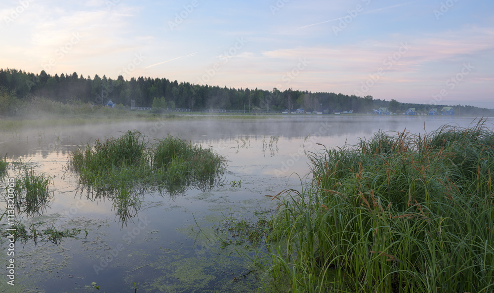 Fototapeta premium Misty summer morning
