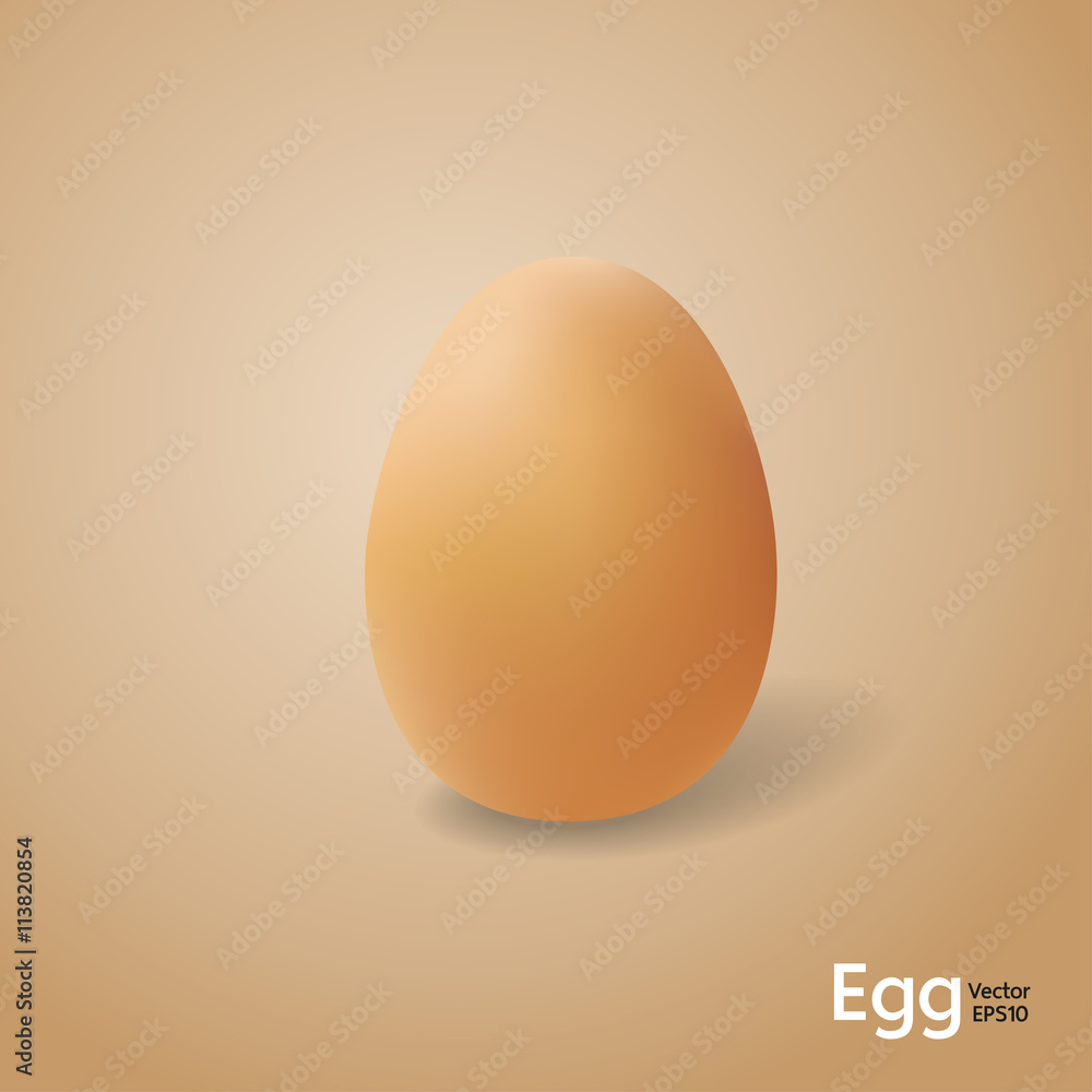 Eggs with realistic style vector illustration. Eggs with realistic style vector illustration.