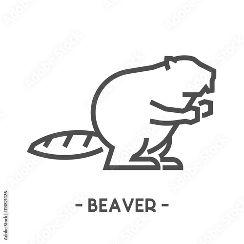 Vector outline figure of beaver
