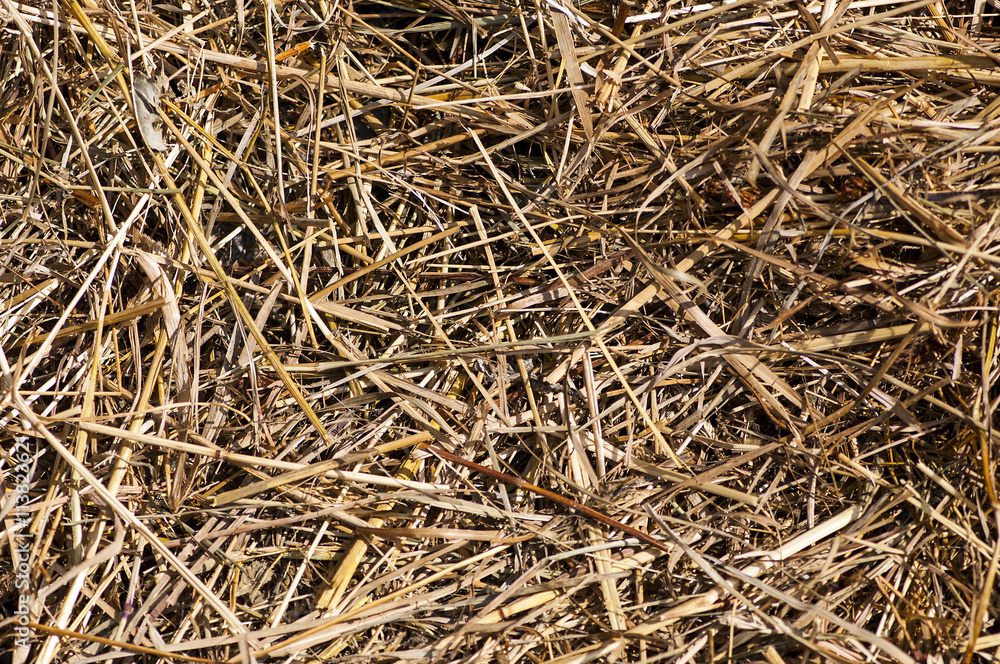 Straw - background Straw - background