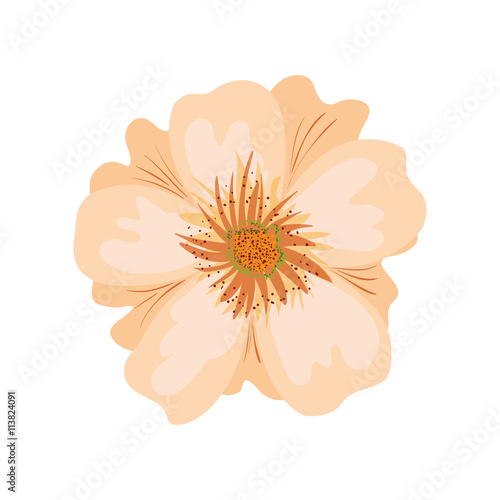 Orange flower icon. Garden design. vector graphic