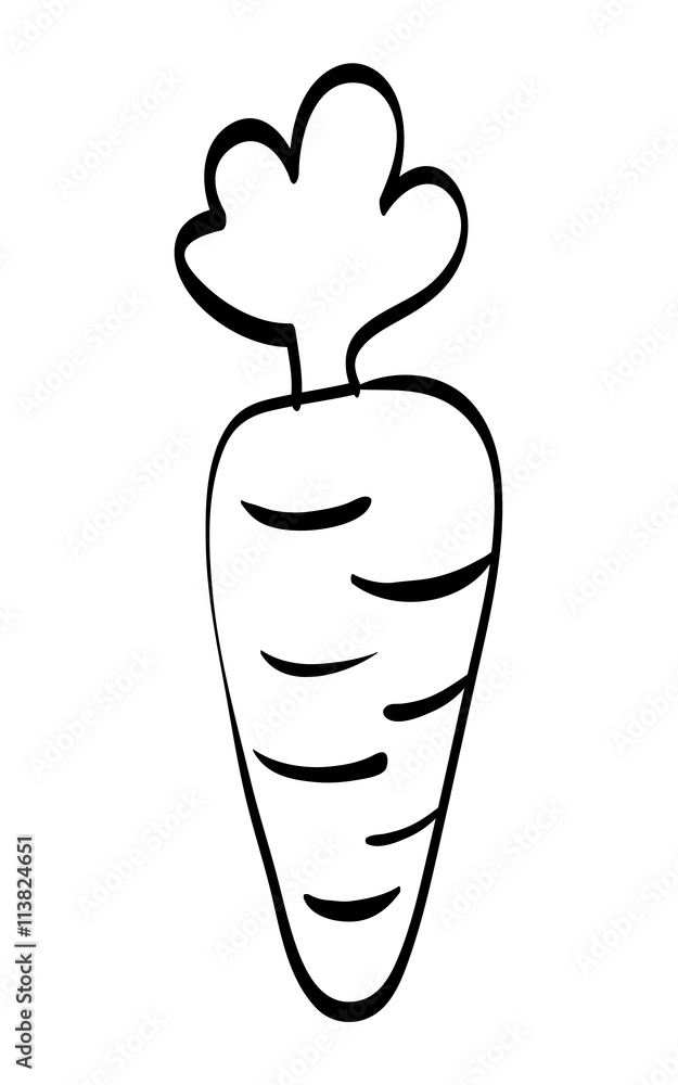 Carrot icon. Organic and healthy food design. vector graphic Carrot icon. Organic and healthy food design. vector graphic