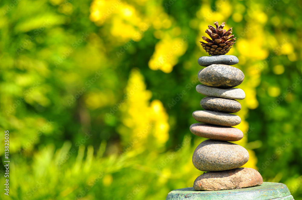 Fototapeta premium Pine-tree bark tower with cones