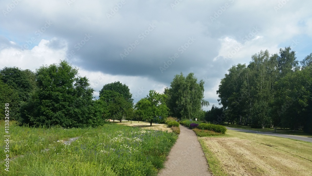 Schwarze Wolken über dem Park im Sommer