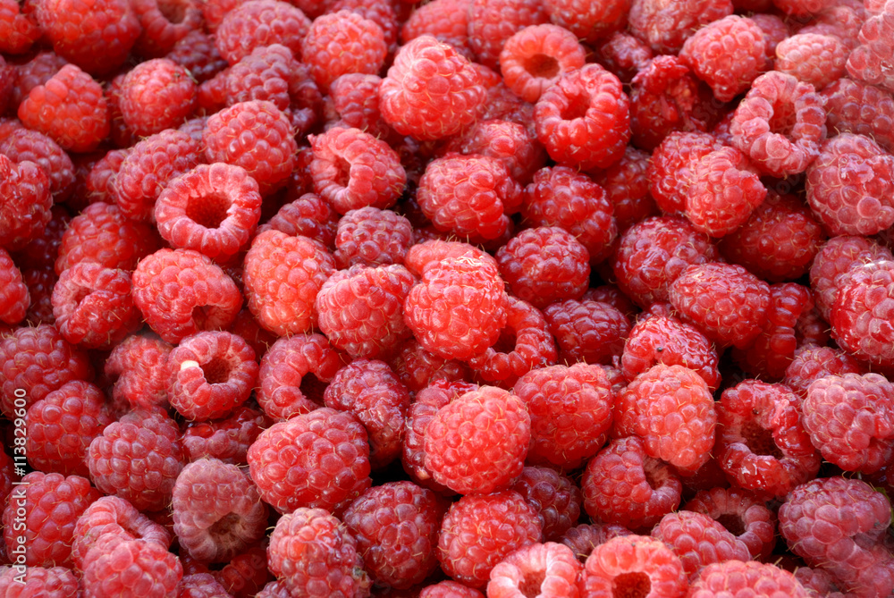 Rasberry background Rasberry background