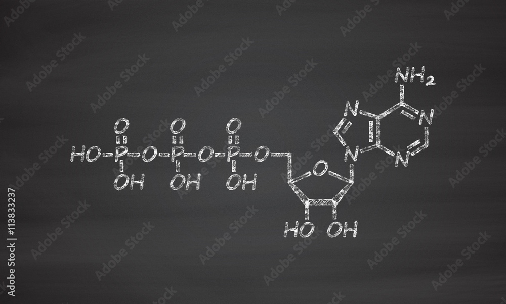 Adenosine triphosphate (ATP) molecule. Functions as neurotransmitter, RNA building block, energy transfer molecule, etc Adenosine triphosphate (ATP) molecule. Functions as neurotransmitter, RNA building block, energy transfer molecule, etc