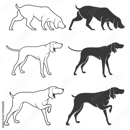 Set of hunting dogs illustrations.