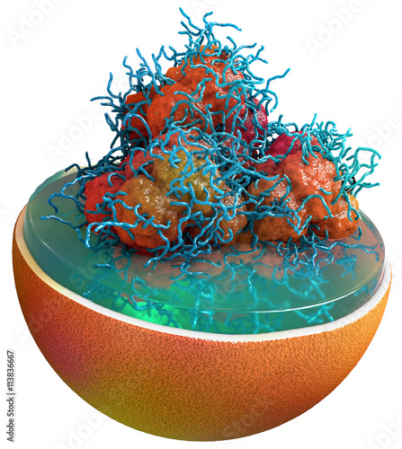 Billede på lærred Lipofuscin within a Lysosome