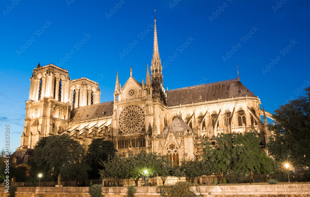 The Notre Dame cathedra at night , Paris, France.